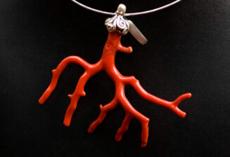 Trésor de la Corse : le corail rouge