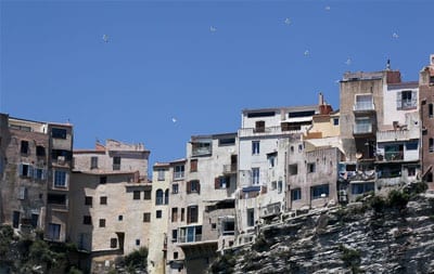 Exposition agence immobilière Palombaggia