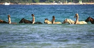 Baignade à cheval à Porto Vecchio