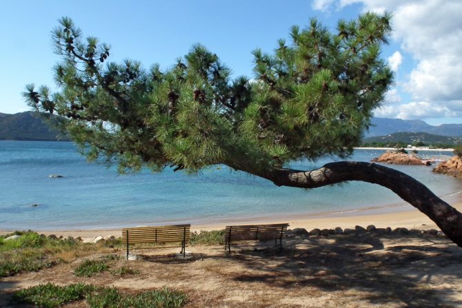 Holiday Rentals Management