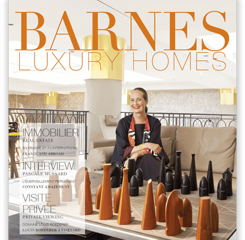 BARNES-LUXURY-HOMES-N°17
