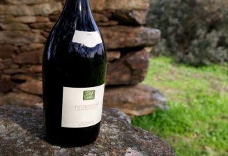 A prestigious Corsican wine: Clos Teddi