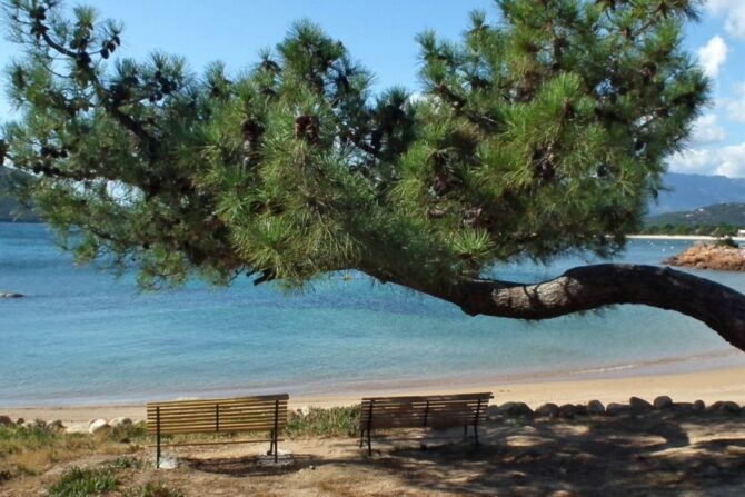 Gestion locative et séjour sur mesure