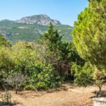 Calvi, Villa 5 chambres, vue montagne, plage à pieds