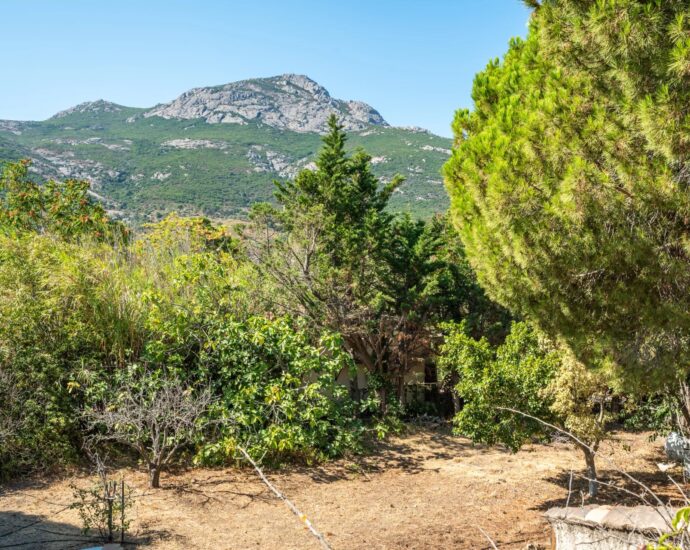 Calvi, 5 bedrooms villa, close to the beach