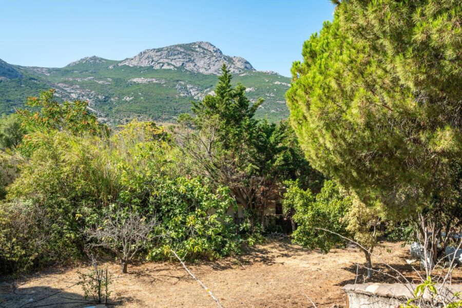 Calvi, Villa 5 chambres, vue montagne, plage à pieds