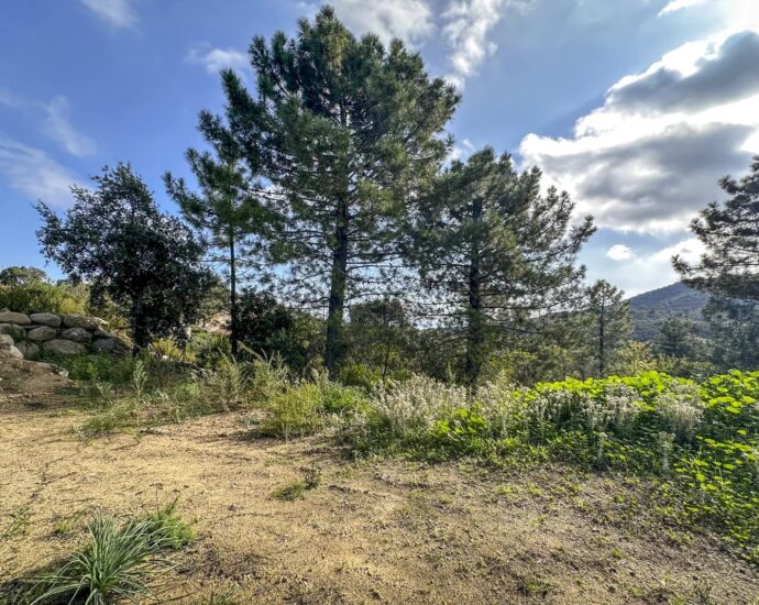 Exclusive Listing: Hameau de Togna, Sari-Solenzara, Land with Building Permit, Sea and Mountain Views