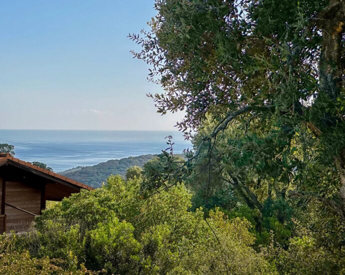 Exclusive Listing: Hameau de Togna, Sari-Solenzara, Land with Building Permit, Sea and Mountain Views