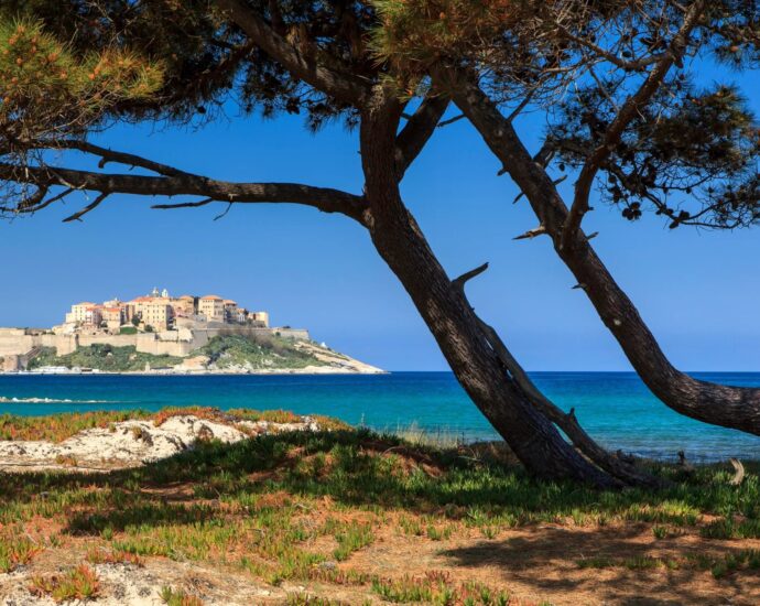Calvi, Villa 5 chambres, vue montagne, plage à pieds