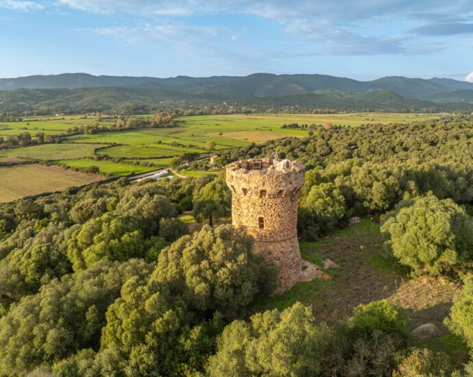 Propriano, Olmeto, Tour Génoise, 3 bedrooms, swimming pool, panoramic sea view, close to the beach