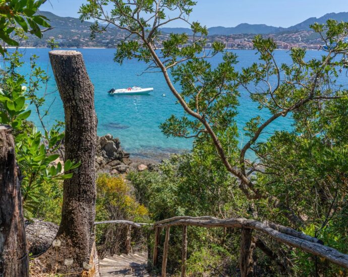 Propriano, Olmeto, pied dans l&rsquo;eau, 6 chambres, piscine