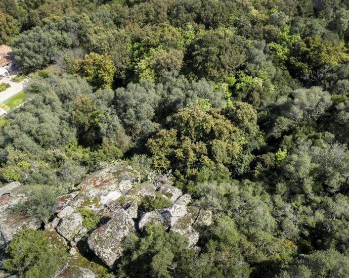 Exclusivité – Porto-Vecchio, terrain constructible avec permis et aperçu mer et montagnes