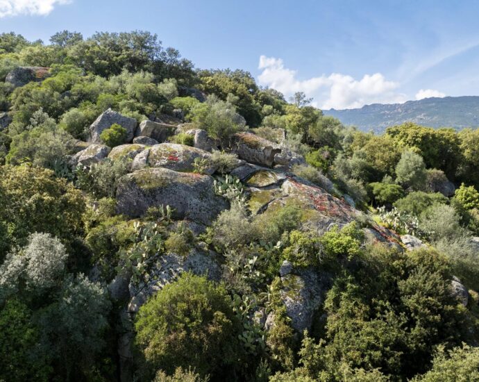 Exclusivité – Porto-Vecchio, terrain constructible avec permis et aperçu mer et montagnes