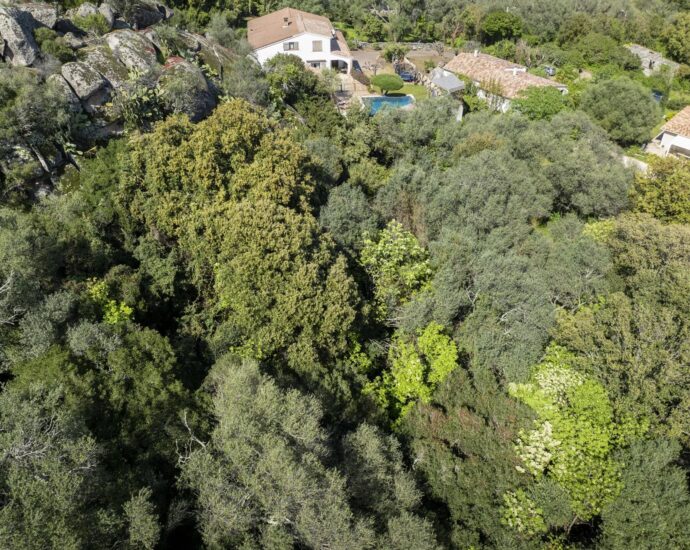 Exclusivité – Porto-Vecchio, terrain constructible avec permis et aperçu mer et montagnes