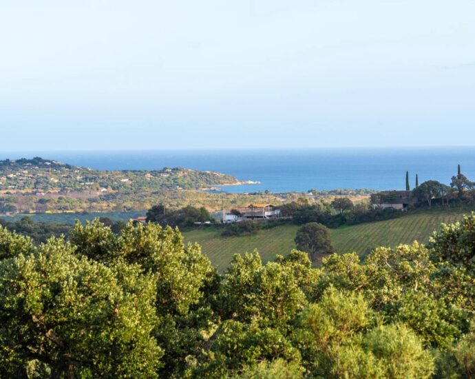 Trinité-de-Porto-Vecchio, 5-Bedroom Villa, Pool, Sea View