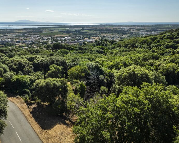 Grand Bastia, Borgo, terrain constructible avec permis, vue mer, proche plages et commerces