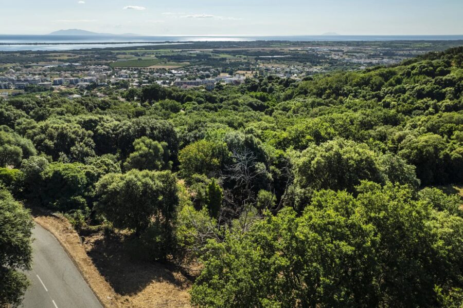 Greater Bastia, Borgo, Building Plot with Permit, Sea View, Close to Beaches and Shops