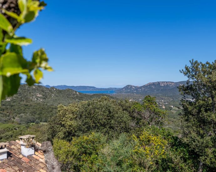 Porto-Vecchio, Villa, Swimming Pool, 6 Bedrooms