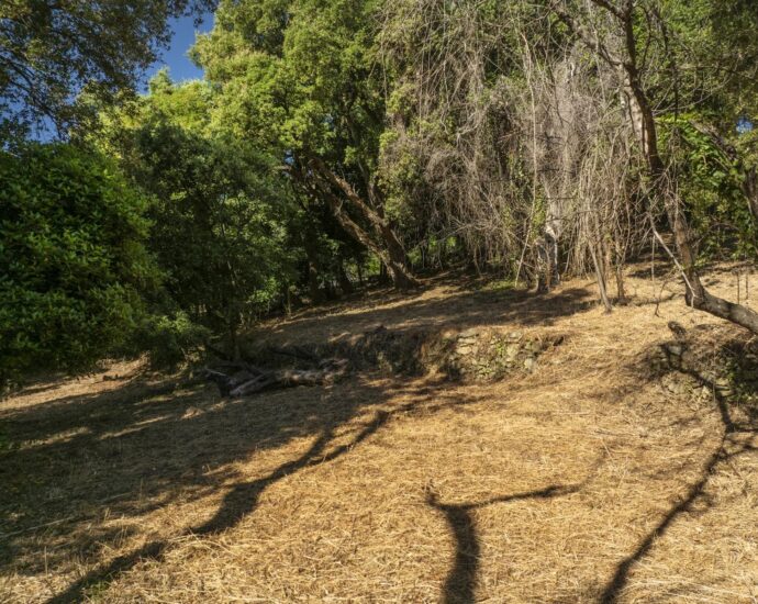 Greater Bastia, Borgo, Building Plot with Permit, Sea View, Close to Beaches and Shops