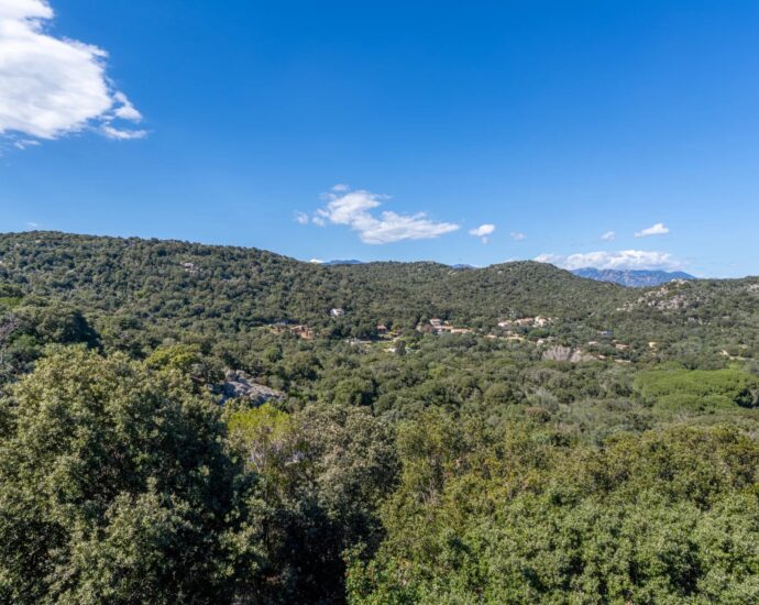 Porto-Vecchio, Villa, Swimming Pool, 6 Bedrooms