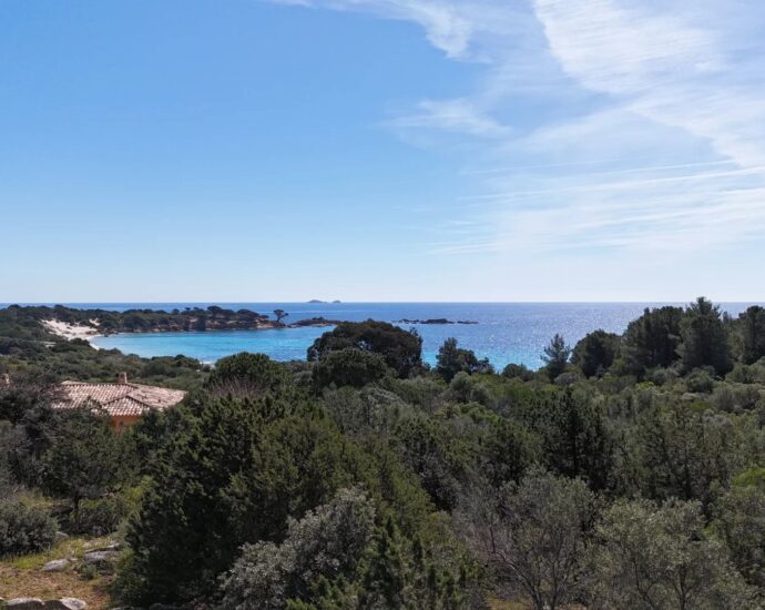 Exclusivité, Porto-Vecchio, Palombaggia, terrain, à bâtir, constructible , plage à pieds