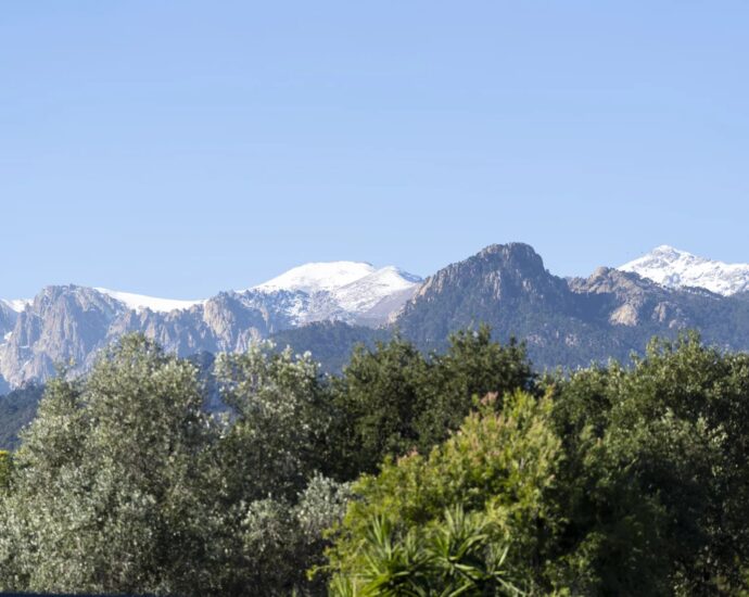 Solenzara, Marine de Solaro, Villa contemporaine, 5 chambres, piscine chauffée, vue dégagée montagnes, plage à pied