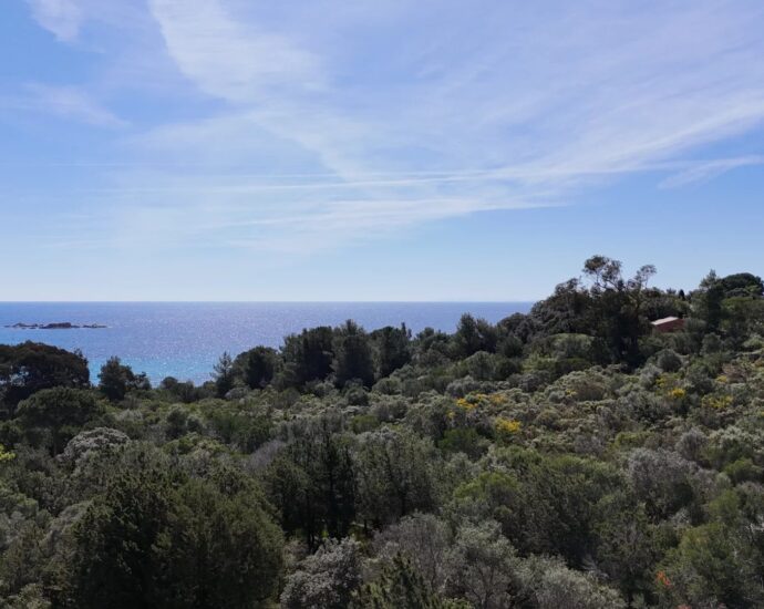 Exclusivité, Porto-Vecchio, Palombaggia, terrain, à bâtir, constructible , plage à pieds