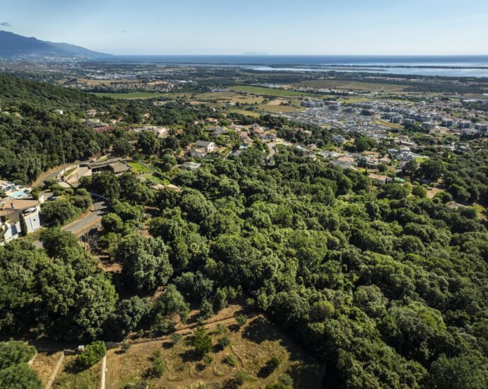 Greater Bastia, Borgo, Building Plot with Permit, Sea View, Close to Beaches and Shops