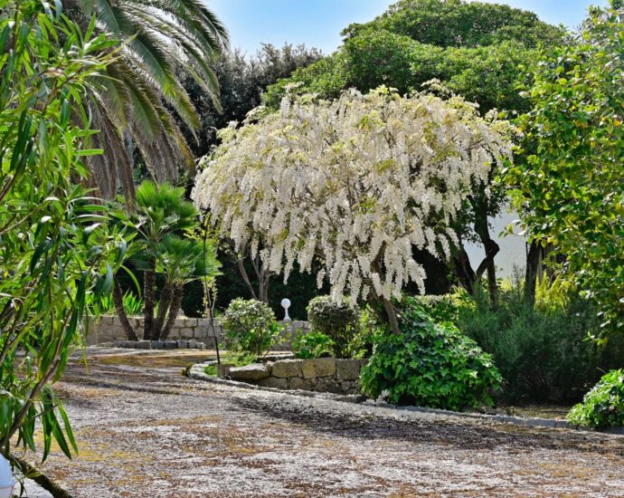 Exclusive, Pietrosella, Isolella Peninsula, Beach Villa Within Walking Distance, 7 Bedrooms, Sea View