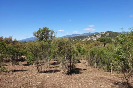 Sainte-Lucie de Porto-Vecchio, Arasu, terrain viabilisé, permis de construire, à proximité des plages