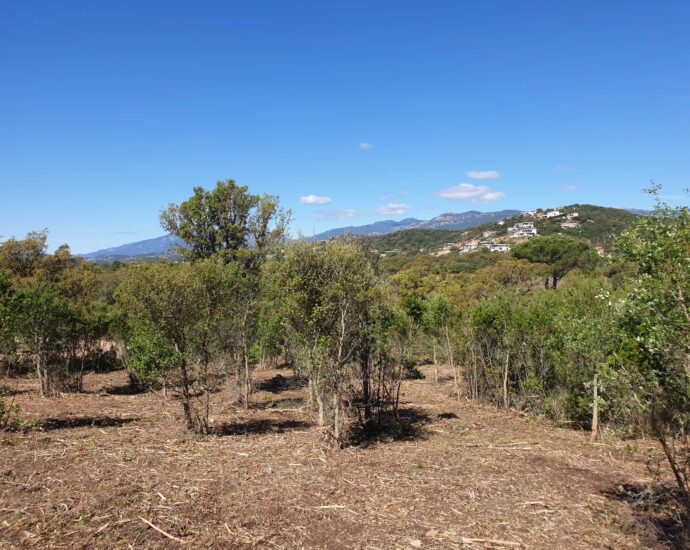 Sainte-Lucie de Porto-Vecchio, Arasu, terrain viabilisé, permis de construire, à proximité des plages