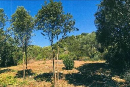 Bonifacio, Santa Manza, Land with Building Permit, Beach Within Walking Distance