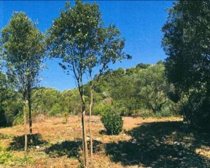 Bonifacio, Santa Manza, Land with Building Permit, Beach Within Walking Distance