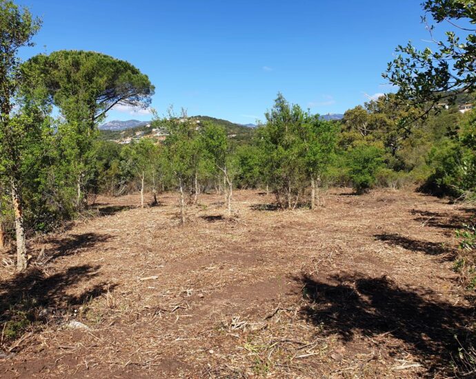 Sainte-Lucie de Porto-Vecchio, Arasu, terrain viabilisé, permis de construire, à proximité des plages