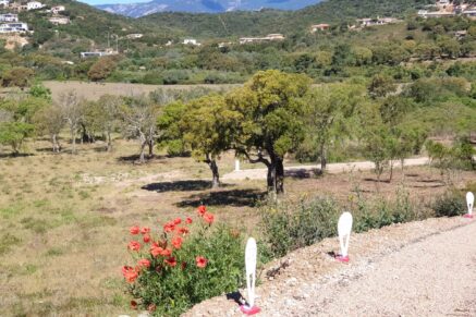 Sainte-Lucie de Porto-Vecchio, Arasu, terrain viabilisé, permis de construire, à proximité des plages