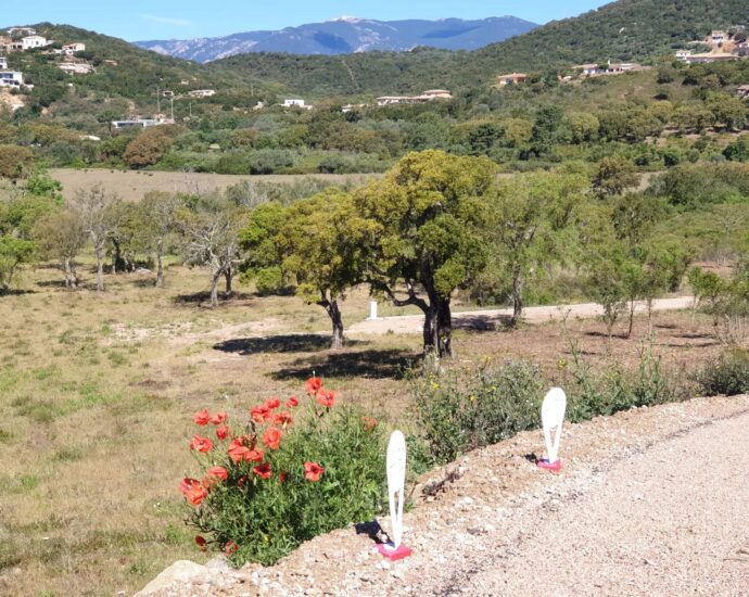 Sainte-Lucie de Porto-Vecchio, Arasu, terrain viabilisé, permis de construire, à proximité des plages