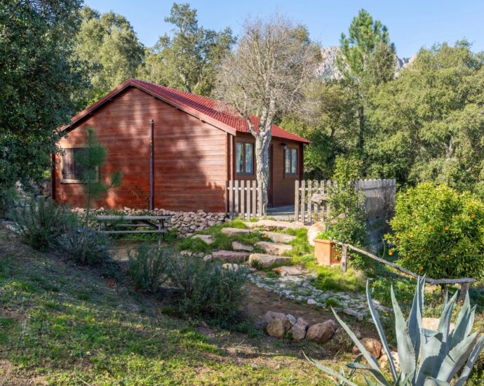 Exclusive, Conca, Bergerie-style Villa, 4 bedrooms, guest house, pool, mountain view