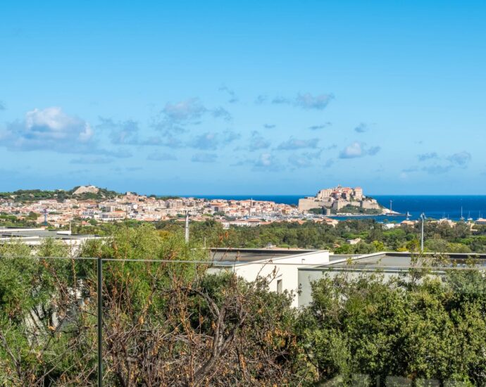 Calvi, 6 Bedrooms, Swimmingpool, Panoramic sea-view, Close to the beach
