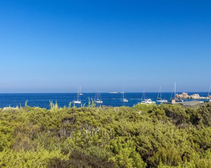 Ile de Cavallo – Bergerie authentique – 3 chambres