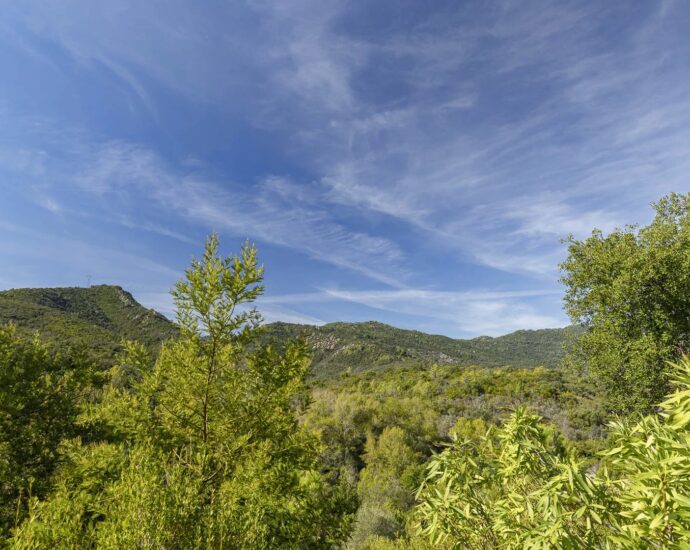 Favone, villa plage à pied, vue mer et montagnes, 4 chambres, piscine à débordement et chauffée