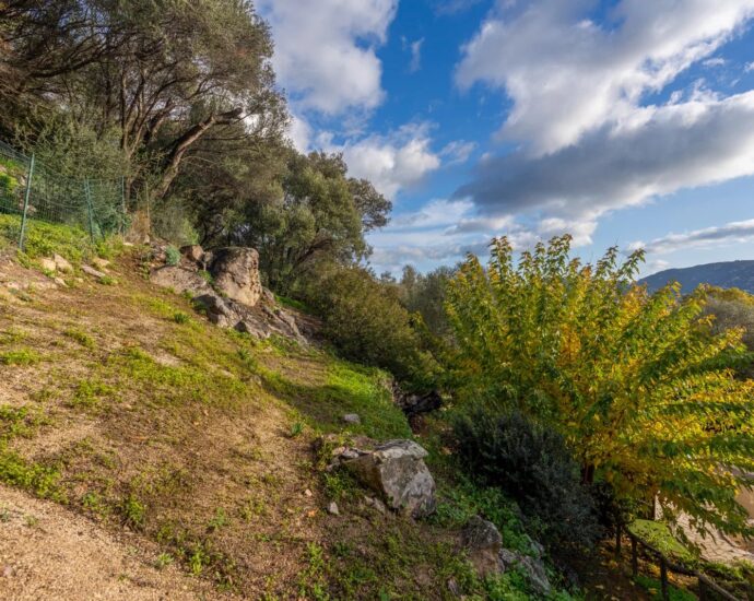 Porto-Vecchio. 3-Bedroom Villa with Studio. Panoramic View of the Port