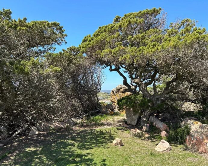 Ile de Cavallo – Villa vue panoramique sur la mer – 3 chambres