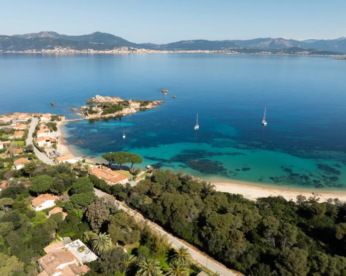 Pietrosella, Presqu’île de l’Isolella, Villa, 3 chambres, piscine, aperçu mer, proche plage et Porticcio