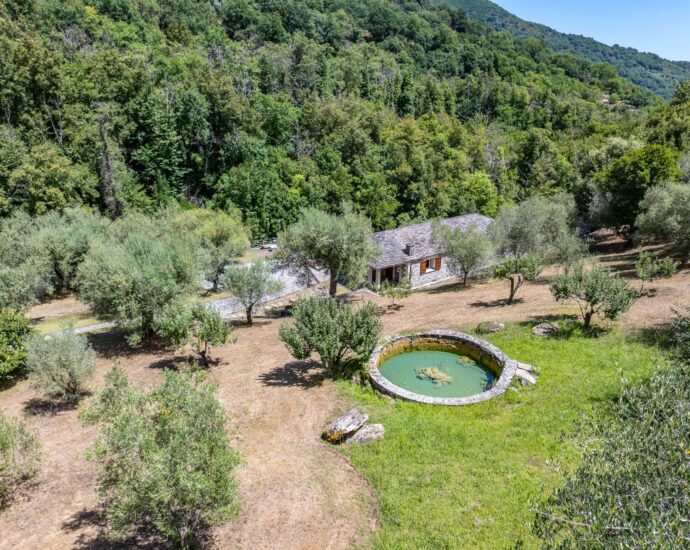 Castagniccia, Proche Bastia, Domaine 7 chambres, Piscine chauffée, accès rivière, proche plages