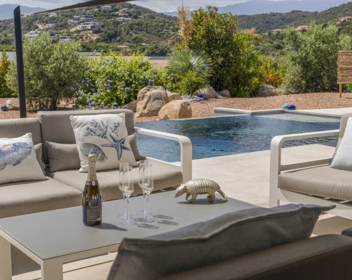 Arasu, villa 4 chambres, piscine, Casa Alivu RL307