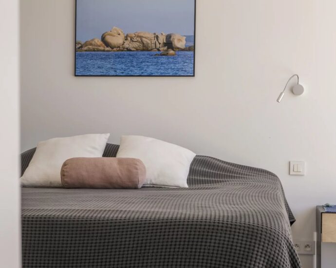 Arasu, villa 4 chambres, piscine, Casa Alivu RL307