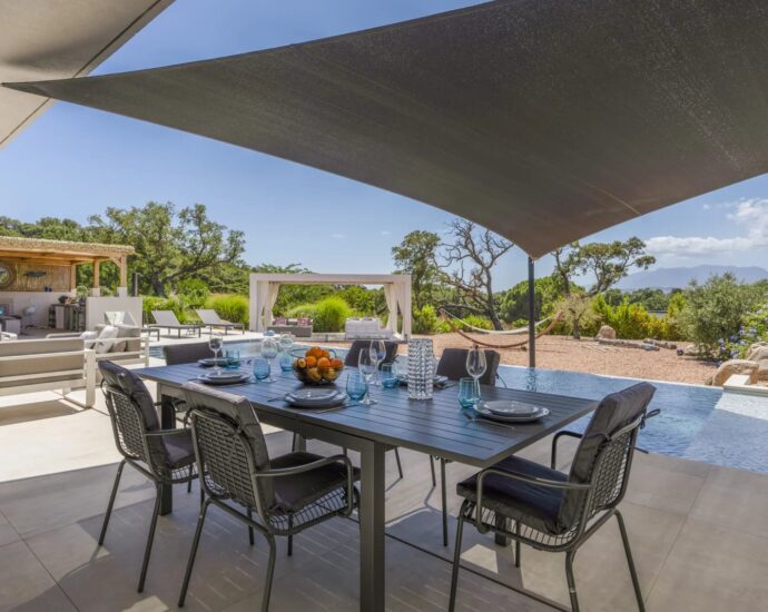 Arasu, villa 4 chambres, piscine, Casa Alivu RL307