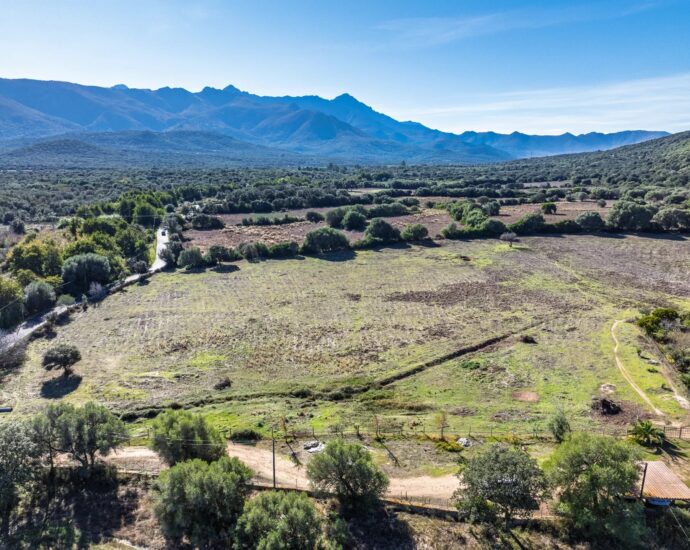 Occhiatana, Terrain à bâtir avec permis purgé pour villa d&rsquo;achitecte en pierre avec piscine, proche plages et L’Île-Rousse