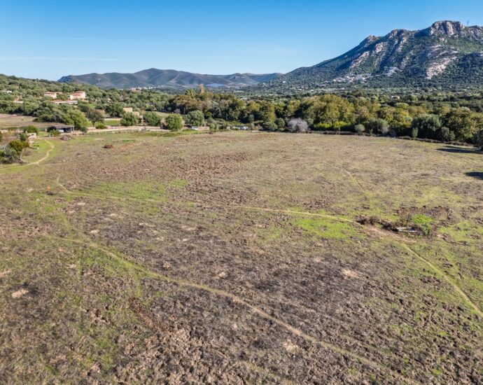 Occhiatana, Terrain à bâtir avec permis purgé pour villa d’achitecte en pierre avec piscine, proche plages et L’Île-Rousse
