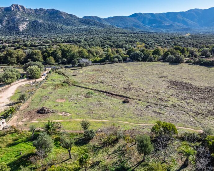 Occhiatana, Terrain à bâtir avec permis purgé pour villa d&rsquo;achitecte en pierre avec piscine, proche plages et L’Île-Rousse